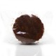 Nonnette au Miel Fourrage Caramel 32g